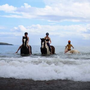 7-daagse Paardrijtocht Dwars door Kintyre - Schotland - Afbeelding 8