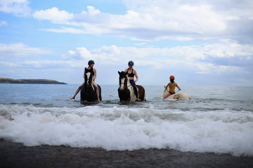7-daagse Paardrijtocht Dwars door Kintyre - Schotland - Afbeelding 8