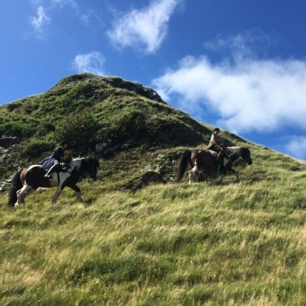 4-daagse Paardrijtocht door de wildernis - Schotland
