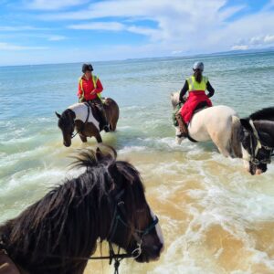 4-daagse Paardrijtocht door de wildernis - Schotland