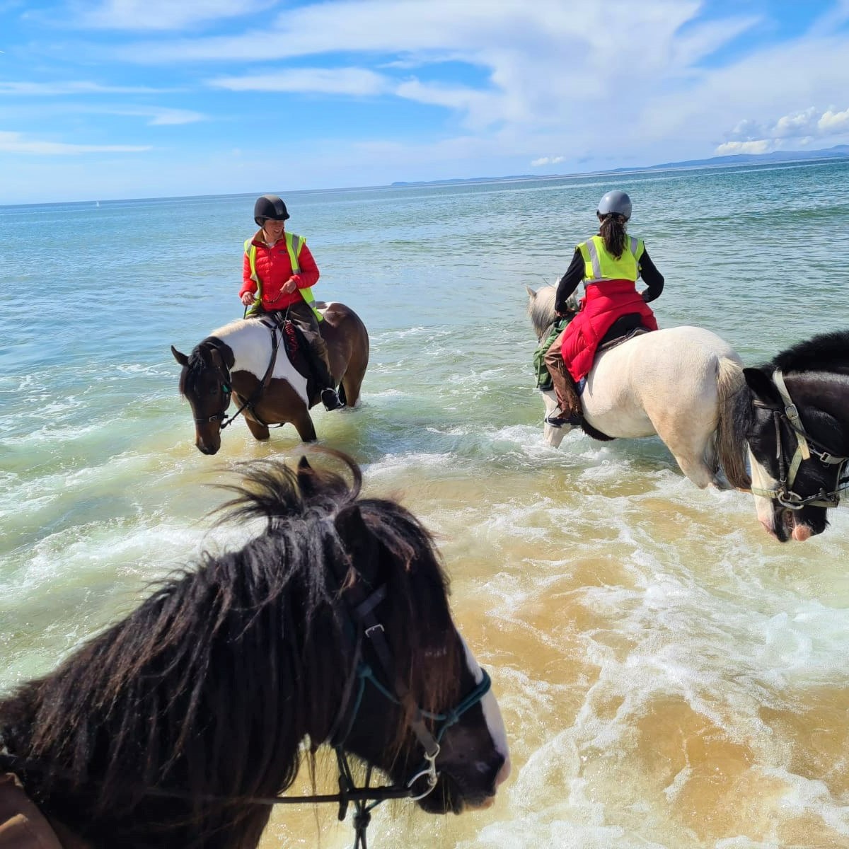 4-daagse Paardrijtocht door de wildernis - Schotland - Afbeelding 1