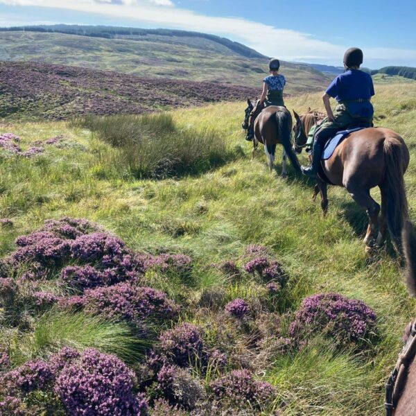 4-daagse Paardrijtocht door de wildernis - Schotland