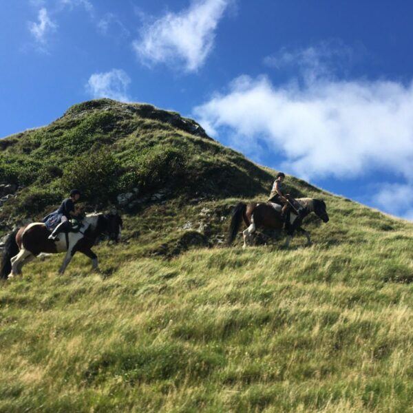 7-daagse Paardrijtocht Dwars door Kintyre - Schotland