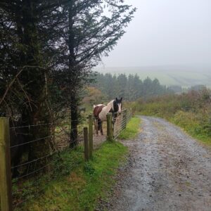 5-daagse De Haven Retreat - Schotland - Afbeelding 2