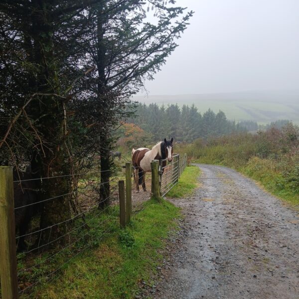 5-daagse De Haven Retreat - Schotland