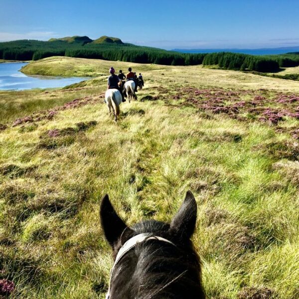 7-daagse Paardrijtocht Dwars door Kintyre - Schotland
