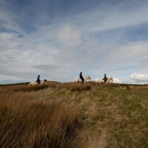 7-daagse Paardrijtocht Dwars door Kintyre - Schotland - Afbeelding 5