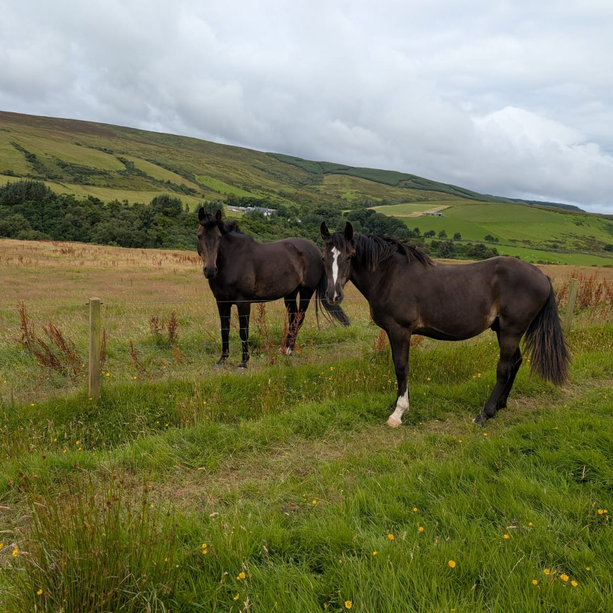 5-daagse De Haven Retreat - Schotland - Afbeelding 6