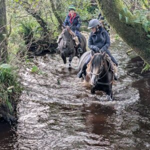 7-daagse Paardrijtocht Ultieme Avonturenweek - Schotland - Afbeelding 14