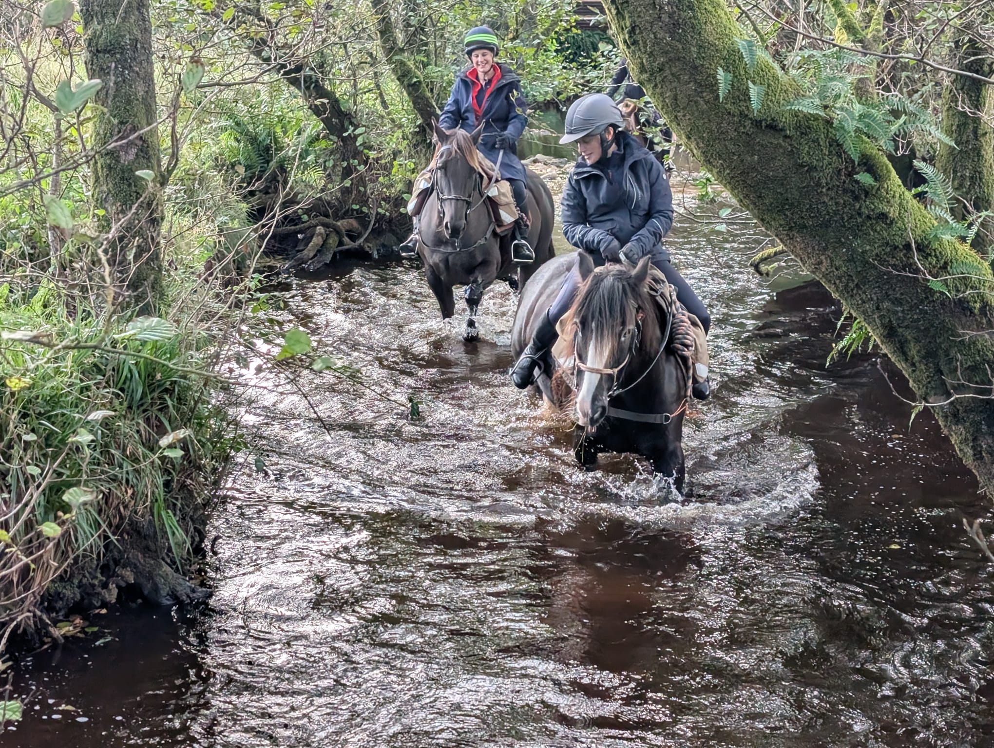 7-daagse Paardrijtocht Ultieme Avonturenweek - Schotland