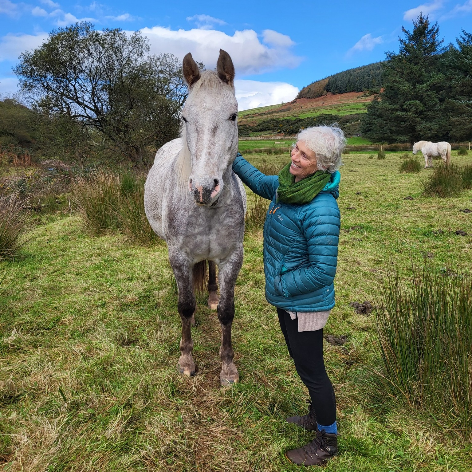 5-daagse De Haven Retreat - Schotland - Afbeelding 8