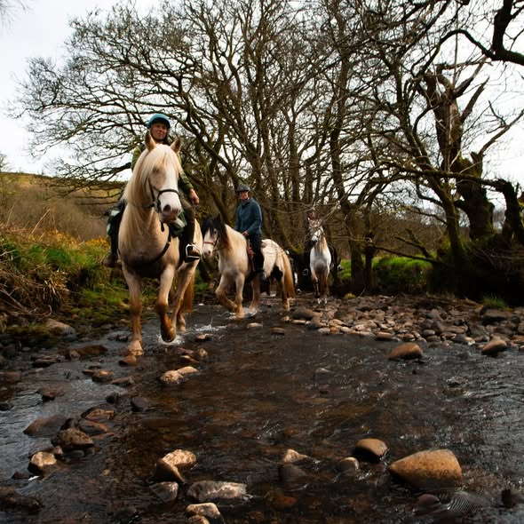 7-daagse Paardrijtocht Ultieme Avonturenweek - Schotland - Afbeelding 8