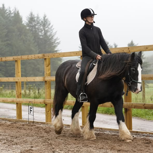 5-daagse De Haven Retreat - Schotland - Afbeelding 9