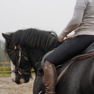 5-daagse De Haven Retreat - Schotland - Afbeelding 3