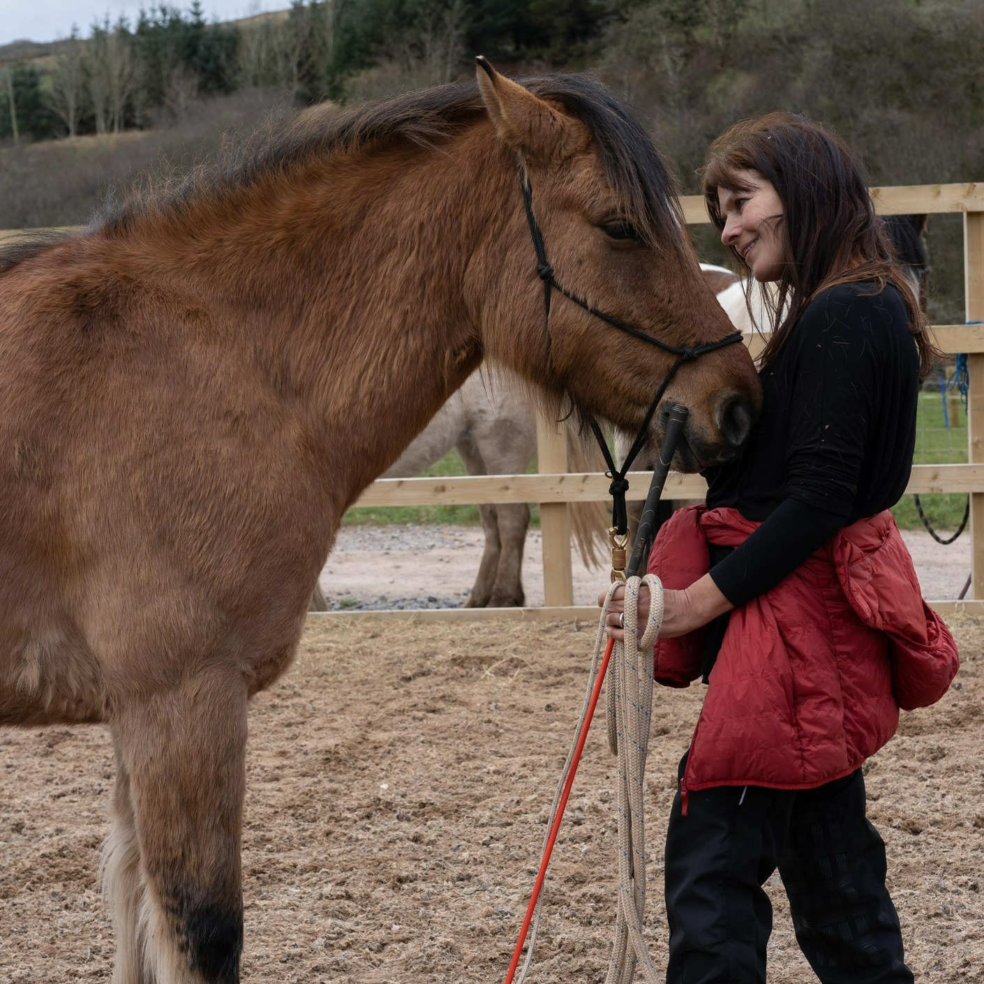 5-daagse De Haven Retreat - Schotland - Afbeelding 1