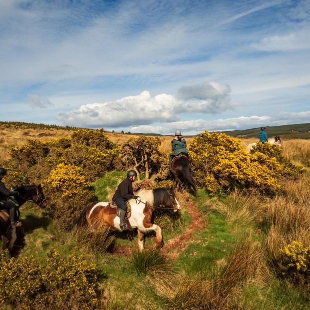 5-daagse De Haven Retreat - Schotland - Afbeelding 10