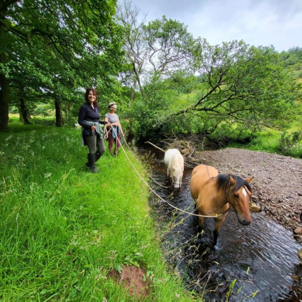 5-daagse De Haven Retreat - Schotland