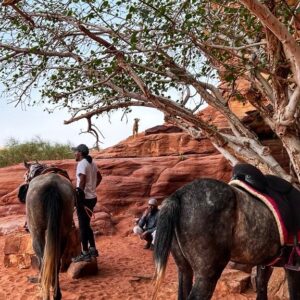 10-daagse paardrijtocht Van de Roze Stad naar de Vallei van de Maan - Jordanië - Afbeelding 12