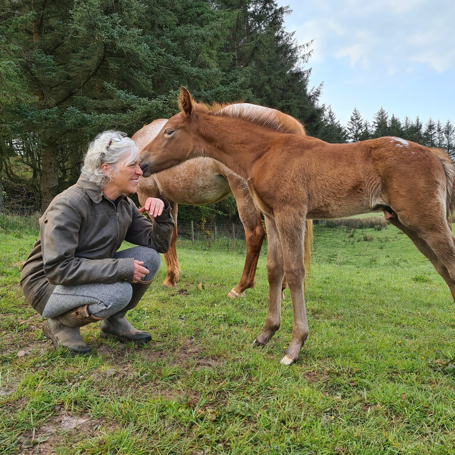5-daagse De Haven Retreat - Schotland - Afbeelding 13