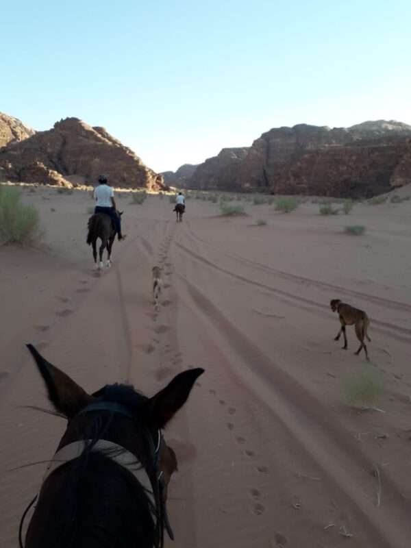 Buitenrit Khazali-kloof Wadi Rum - Jordanië