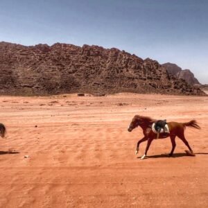 10-daagse paardrijtocht Van de Roze Stad naar de Vallei van de Maan - Jordanië - Afbeelding 42