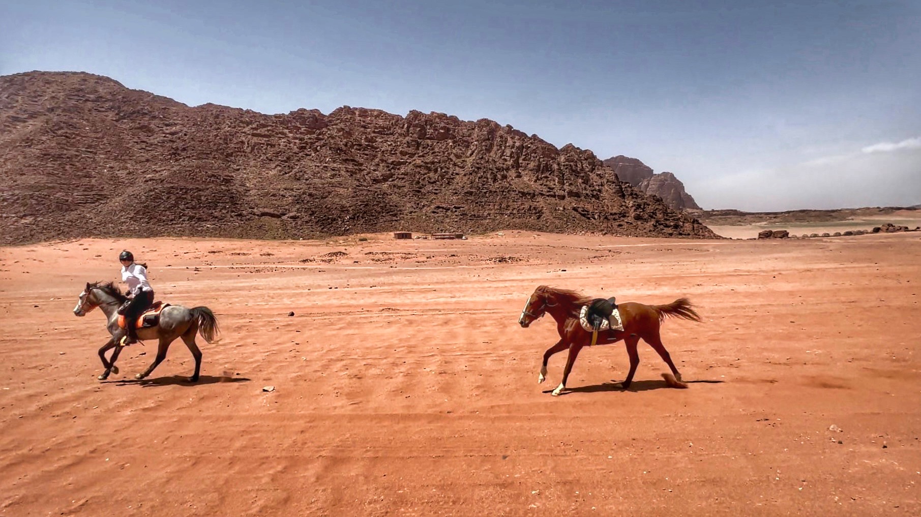 10-daagse paardrijtocht Van de Roze Stad naar de Vallei van de Maan - Jordanië