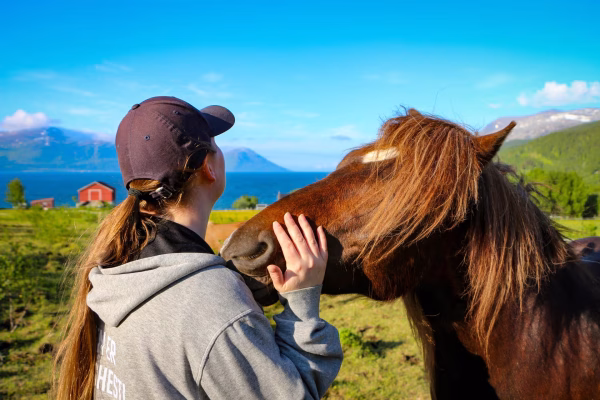 Bezoek aan de Lyngen paardenboerderij (evt. met overnachting) in Tromsø - Noorwegen