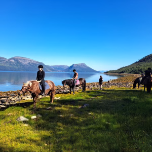 Buitenrit (evt. met overnachting) in Tromsø - Noorwegen