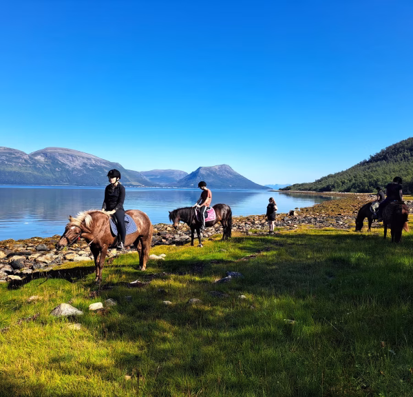 Buitenrit (evt. met overnachting) in Tromsø - Noorwegen