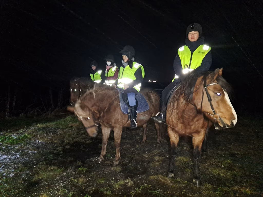 Buitenrit onder het noorderlicht (evt. met overnachting) bij Tromsø - Noorwegen