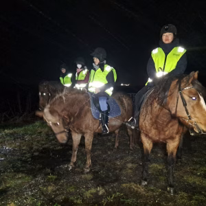 Buitenrit onder het noorderlicht (evt. met overnachting) bij Tromsø - Noorwegen - Afbeelding 4