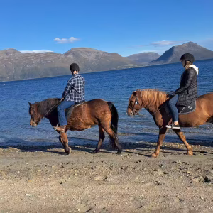 Buitenrit (evt. met overnachting) in Tromsø - Noorwegen - Afbeelding 9