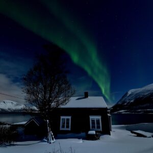 Buitenrit onder het noorderlicht (evt. met overnachting) bij Tromsø - Noorwegen - Afbeelding 8