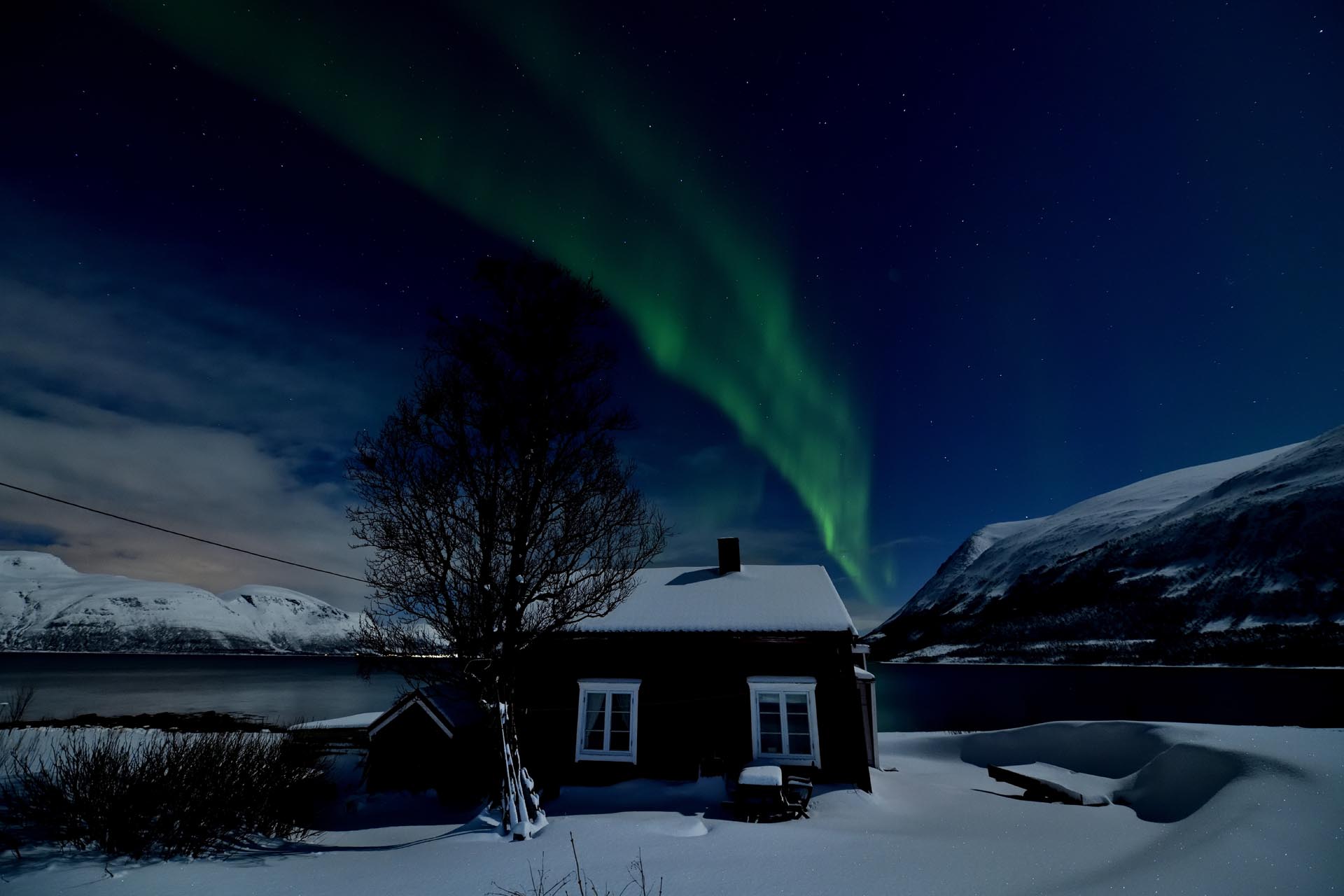 Buitenrit onder het noorderlicht (evt. met overnachting) bij Tromsø - Noorwegen
