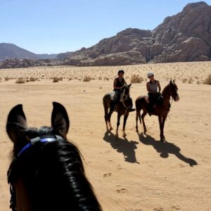 Dagrit Wadi Rum - Jordanië