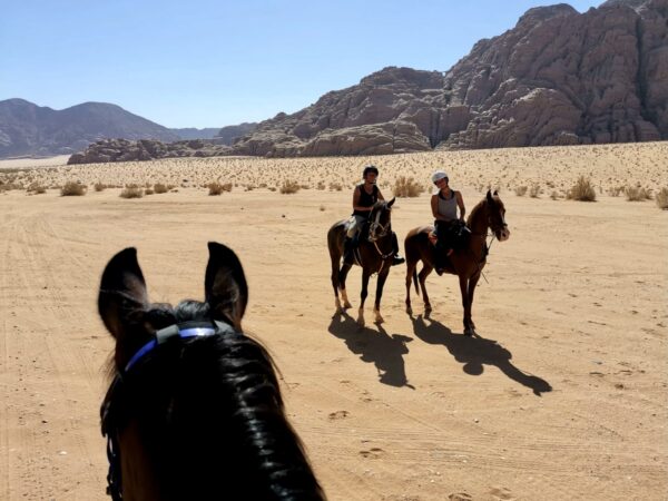 Dagrit Wadi Rum - Jordanië