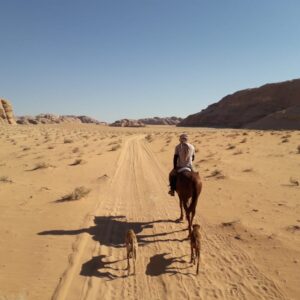 Buitenrit Khazali-kloof Wadi Rum - Jordanië - Afbeelding 2