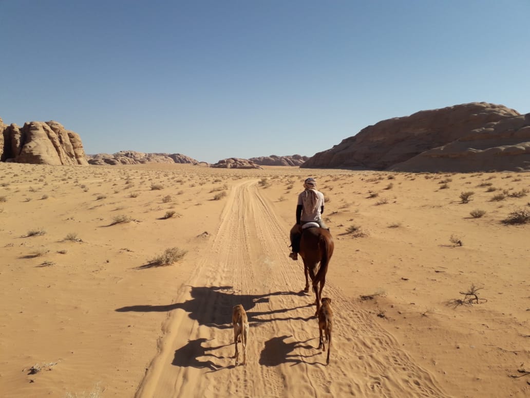 Buitenrit Khazali-kloof Wadi Rum - Jordanië - Afbeelding 2