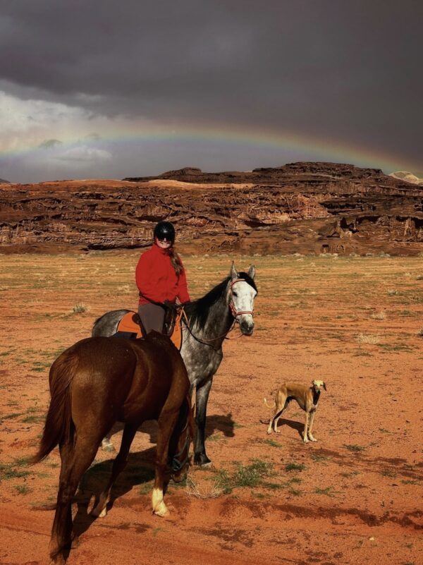 Dagrit Wadi Rum - Jordanië