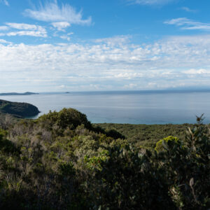 6-daagse Paardentocht Natuurreservaat en Strand van Punta Ala Toscane - Italië - Afbeelding 10
