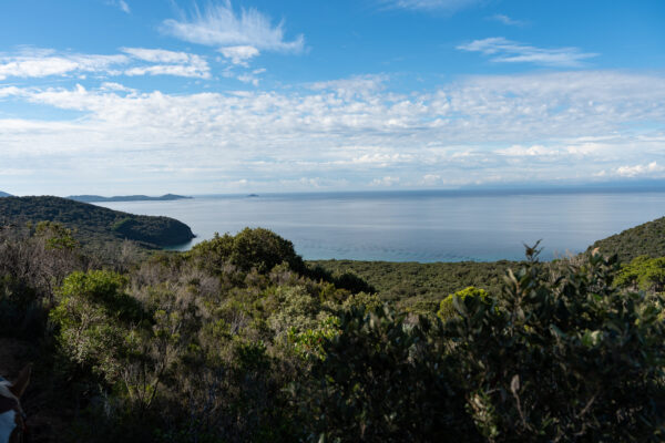 6-daagse Paardentocht Natuurreservaat en Strand van Punta Ala Toscane - Italië