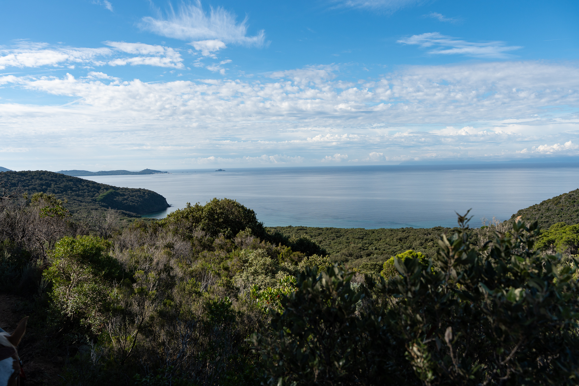 6-daagse Paardentocht Natuurreservaat en Strand van Punta Ala Toscane - Italië - Afbeelding 10