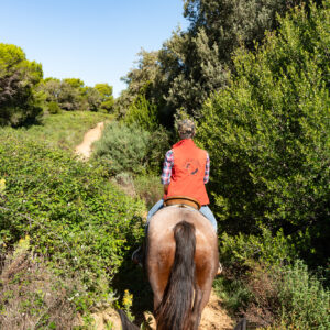 4-daagse Paardentocht Cala Violina & Strand van Punta Ala Toscane - Italië - Afbeelding 13