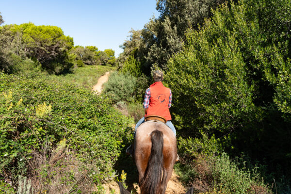 4-daagse Paardentocht Cala Violina & Strand van Punta Ala Toscane - Italië