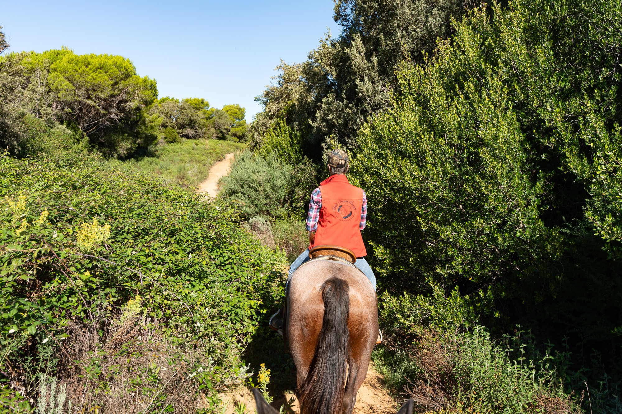 4-daagse Paardentocht Cala Violina & Strand van Punta Ala Toscane - Italië - Afbeelding 13