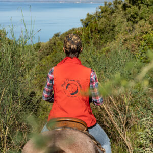 6-daagse Paardentocht Natuurreservaat en Strand van Punta Ala Toscane - Italië - Afbeelding 11