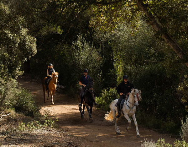 Buitenrit authentieke Mallorca excursie - Spanje