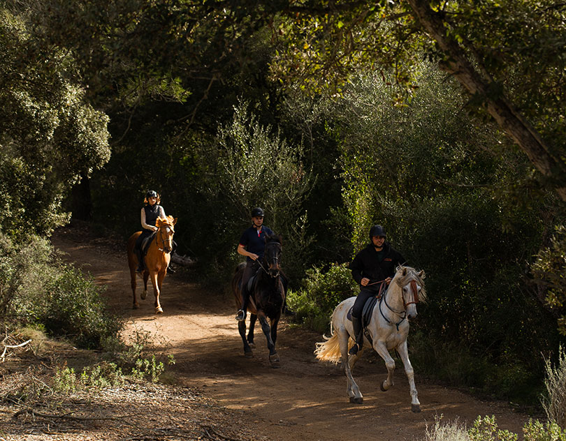 Buitenrit authentieke Mallorca excursie - Spanje - Afbeelding 2