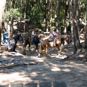 6-daagse Paardentocht Natuurreservaat en Strand van Punta Ala Toscane - Italië - Afbeelding 12