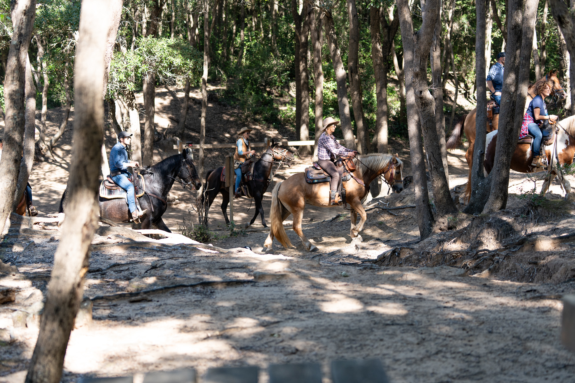 6-daagse Paardentocht Natuurreservaat en Strand van Punta Ala Toscane - Italië - Afbeelding 12
